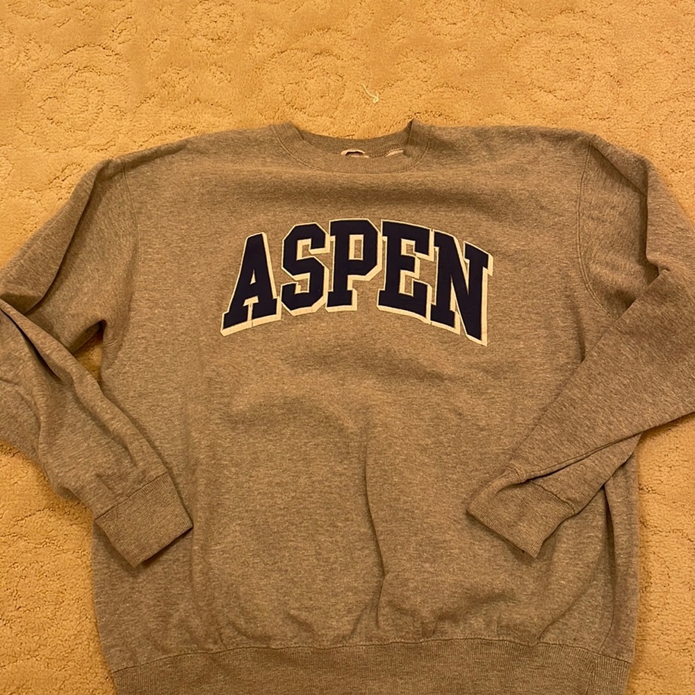 Brandy Melville aspen crewneck